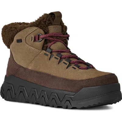 Ugg(r) Terretrail Cozy Winter Boot In Brown