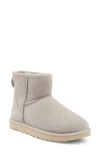 Ugg(r) Ugg Classic Mini Ii Genuine Shearling Lined Boot In Campfire