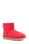 Ugg(r) Ugg Classic Mini Ii Genuine Shearling Lined Boot In Hibiscus Pink Suede
