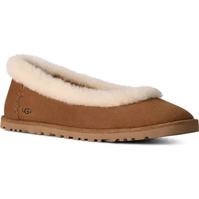 Ugg(r) Zora Genuine Shearling Trim Ballet Flat In Brown