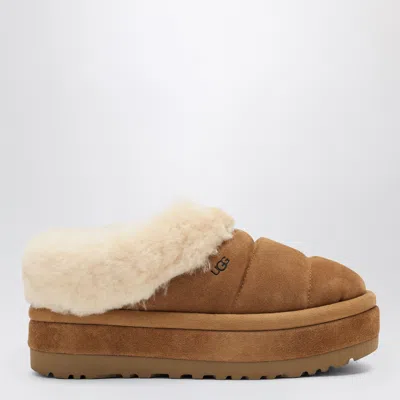 UGG UGG SLIDE W TAZZLITA CHESTNUT SUEDE