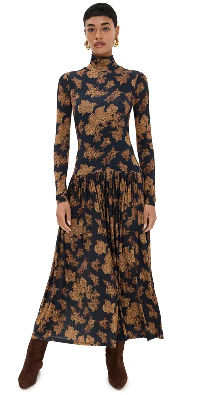 Ulla Johnson Amaya Pleated Floral-print Maxi Dress In Onyx