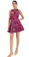 Ulla Johnson Brienne Floral Cotton Minidress In Ruby Flora