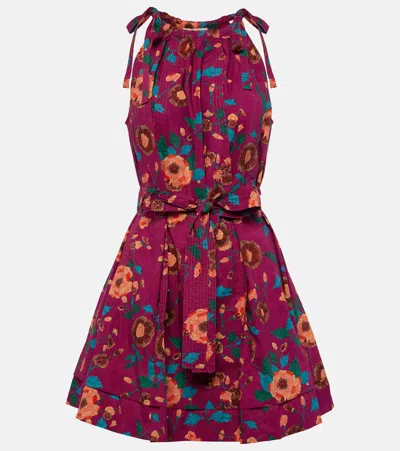 Ulla Johnson Brienne Floral Cotton Minidress In Multi
