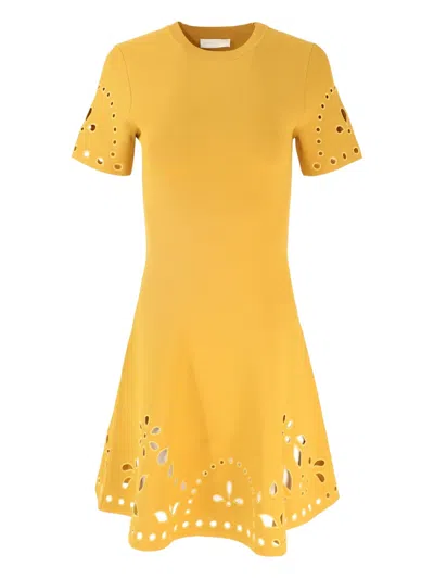 Ulla Johnson Eyelet-embellished Mini Dress In Yellow