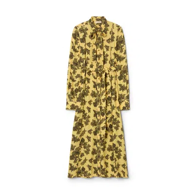 Ulla Johnson Gaelle Dress In Solaris