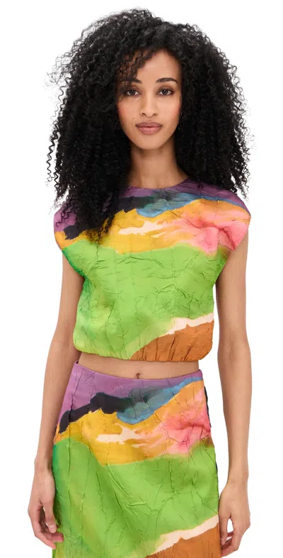 Ulla Johnson Gisella Satin Crop Top Nature Abhors A Vacuum In Multi