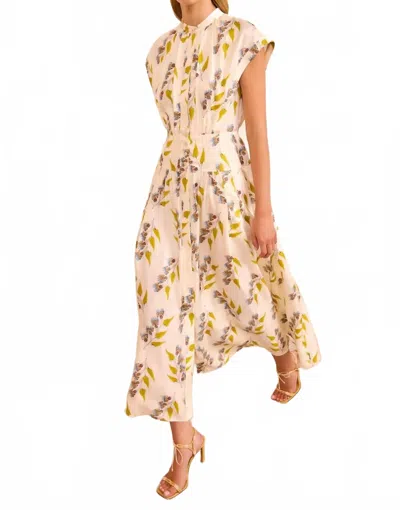 Ulla Johnson Lausanne Button Up Dress In Infinite Flower In Multi