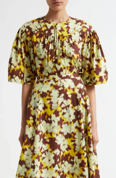 Ulla Johnson Lux Print Crop Top In Acacia