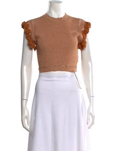 Pre-owned Ulla Johnson Mock Neck Short Sleeve Top In Brown