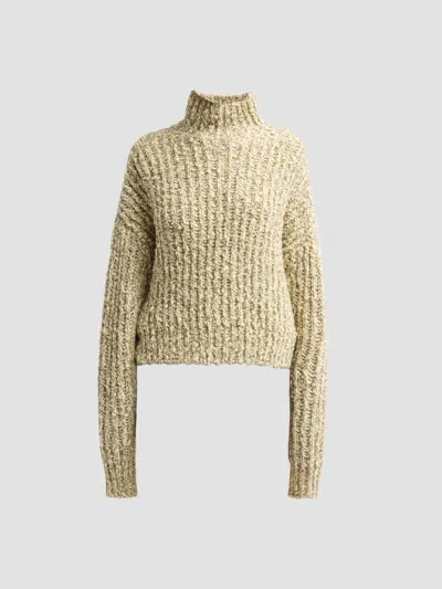 Ulla Johnson Women's Albie Knit Turtleneck Sweater In Brown