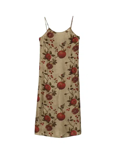 Uma Wang Women's Anaya Dress In Tan/red/green