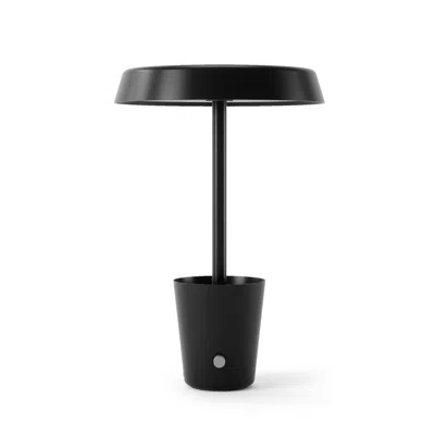 Umbra Cup Lamp In Black