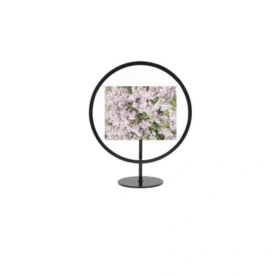 Umbra Infinity Round Photo Display, Floating Picture Frame For Desk Or Wall In Black