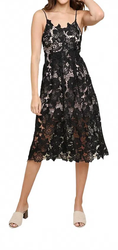 Umgee Floral Lace Applique Midi Dress In Black