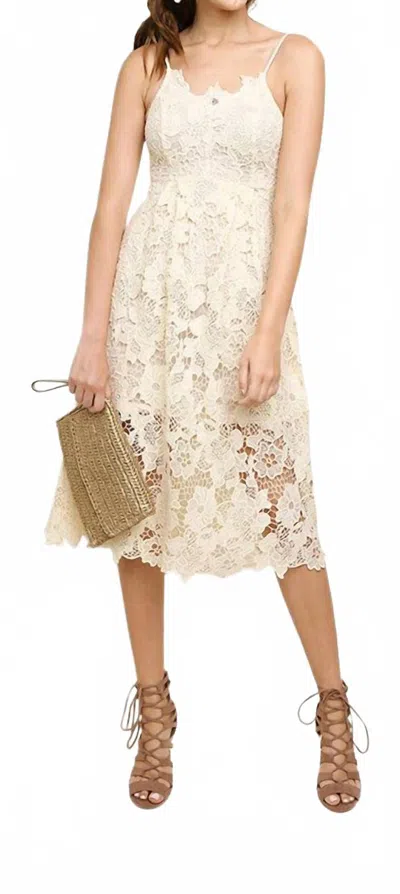 Umgee Floral Lace Applique Midi Dress In Cream In White
