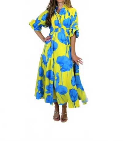 Umgee Floral Maxi Dress In Lime In Green