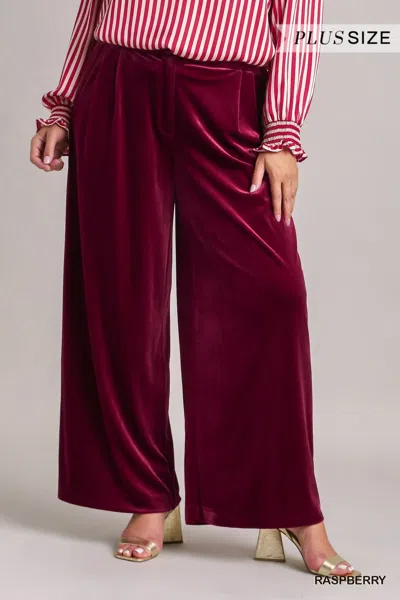 Umgee Julie Velvet Trouser Pants In Burgundy In White