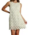 Umgee Polka Dot Lace Shift Dress In Cream In White