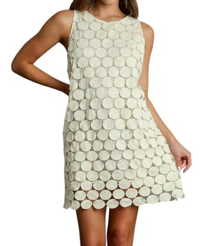 Umgee Polka Dot Lace Shift Dress In Cream In Multi