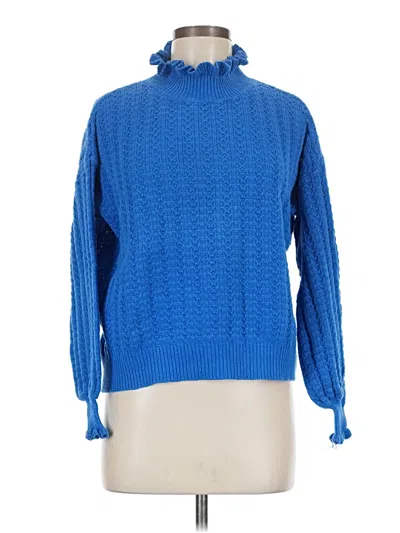 Pre-owned Umgee Turtleneck Sweater In Blue