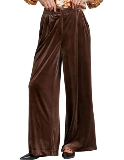 Umgee Velvet High Waisted Pants In Brown