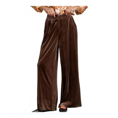 Umgee Velvet Pant In Mocha In Brown