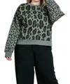 Umgee Wild Leopard Sweater In Olive Mix In Multi