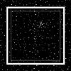 Una Berzina Women's Black / White Black Printed Polka-dot Scarf In Black