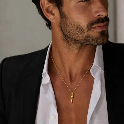 Unaloe Gold / Silver Men's Two Tone Sterling Silver Italian Horn Necklace With Gold Plated Style Cap Detail In Gold/silver