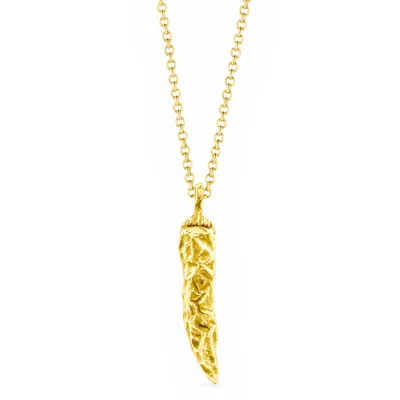 Unaloe Men's Italian Chilli Pepper Necklace – Peperoncino Pendant In Gold Plated