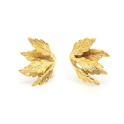 Unaloe Women's Amazzonia Earrings Silver Gold Plated