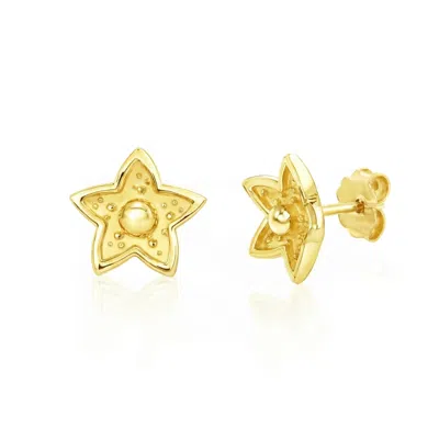 Unaloe Women's Gold Vermeil Star Flower Stud Earrings – Luxury Contemporary Ocean Inspired Designer Studs