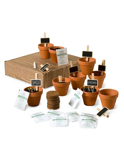 Uncommon Goods Apothecary Garden Grow Kit In Brown