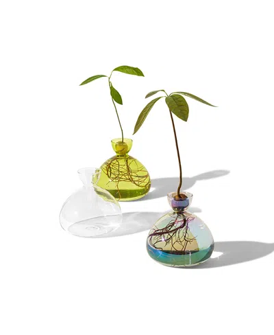 Uncommon Goods Avocado Vase By Ilex Studio In Green