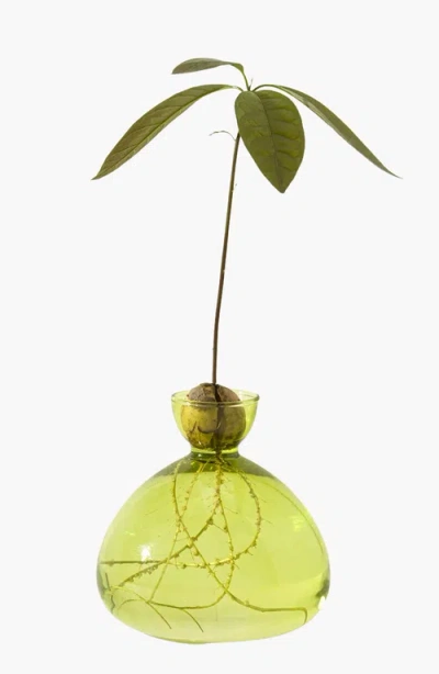 Uncommon Goods Avocado Vase In Grass Green