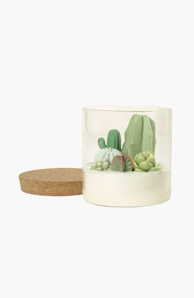 Uncommon Goods Cactus Terrarium Candle In Champagne & Peach