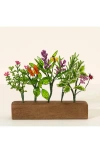 Uncommon Goods Herb Garden Sculpture In Multi