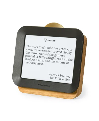 Uncommon Goods Literary Weather Forecast In Brown
