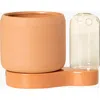 Uncommon Goods Self-watering Planter And Propagation Station In Light Brown