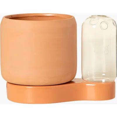 Uncommon Goods Self-watering Planter And Propagation Station In Light Brown