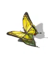 Uncommon Goods Stained Glass Butterflies With A Message In Yellow