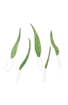 Uncommon Goods Stained Glass Leaf Decor Set