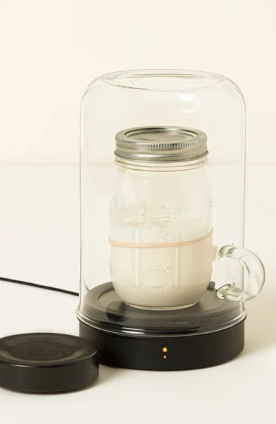 Uncommon Goods Temperature Controlled Sourdough Starter Device By Sourhouse Llc In Black