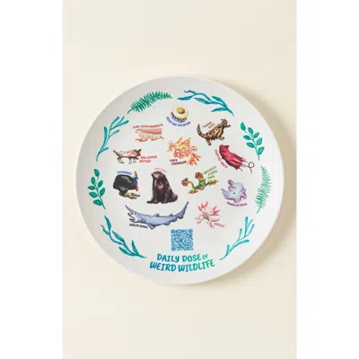Uncommon Goods Weird Animal Fact Everyday Qr Kids Plate In Multi