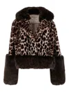 Uncommon Leopard-print Jacket In Brown