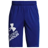 Under Armour Boys' Ua Prototype Logo Shorts 2.0 - Big Kid In Royal/white