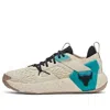 Under Armour Project Rock 6 'brown Teal' In Multi