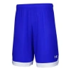 Under Armour Project Rock Iron Paradise Mesh Shorts 'blue'