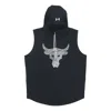 Under Armour Project Rock Terry Sleeveless Hoodie 'black'